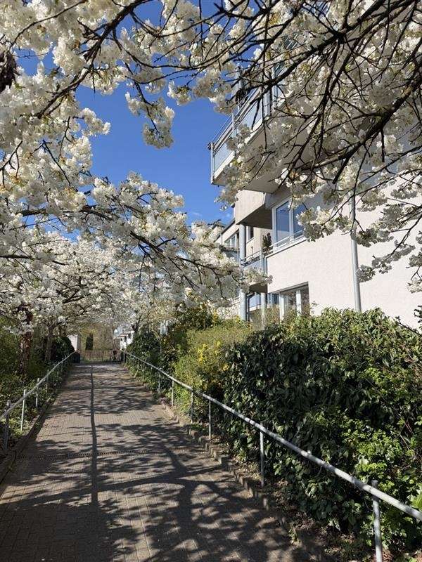 Kompakte 2-Zimmer-Balkonwohnung in Düsseldorf-Wittlaer – vermietet & provisionsfrei
